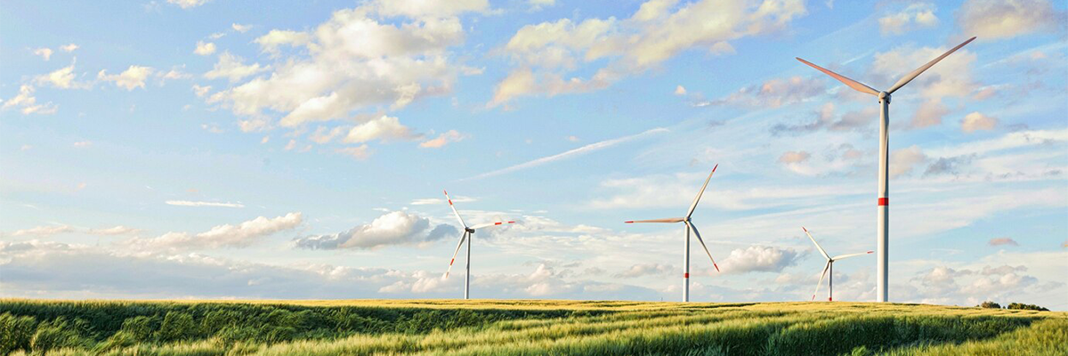 Green Energy Revolution: The Impact of Renewable Energy Sources on the Economy