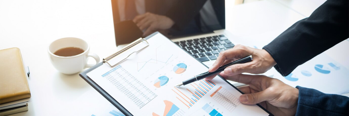 Raporlama ve Politika