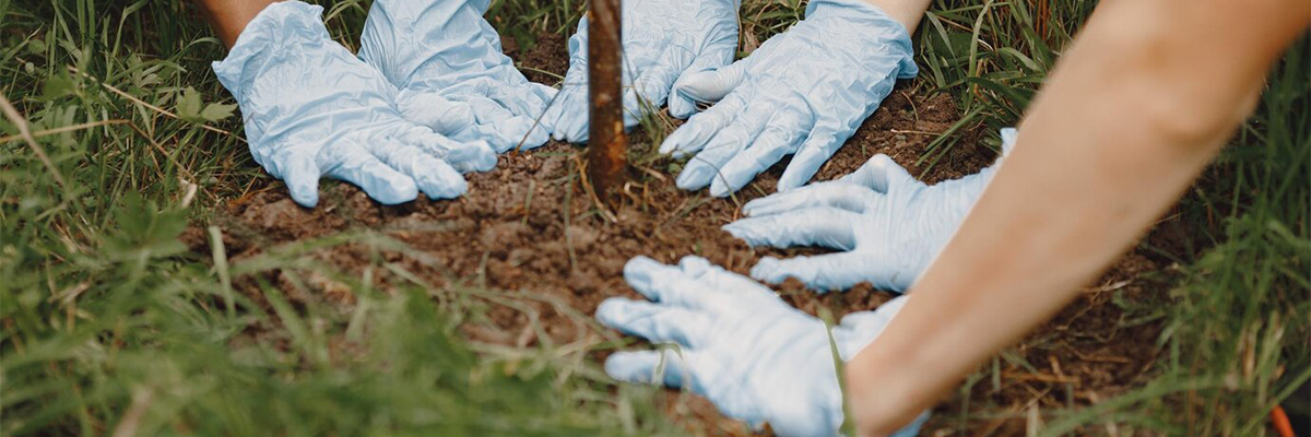 Social Responsibility Projects