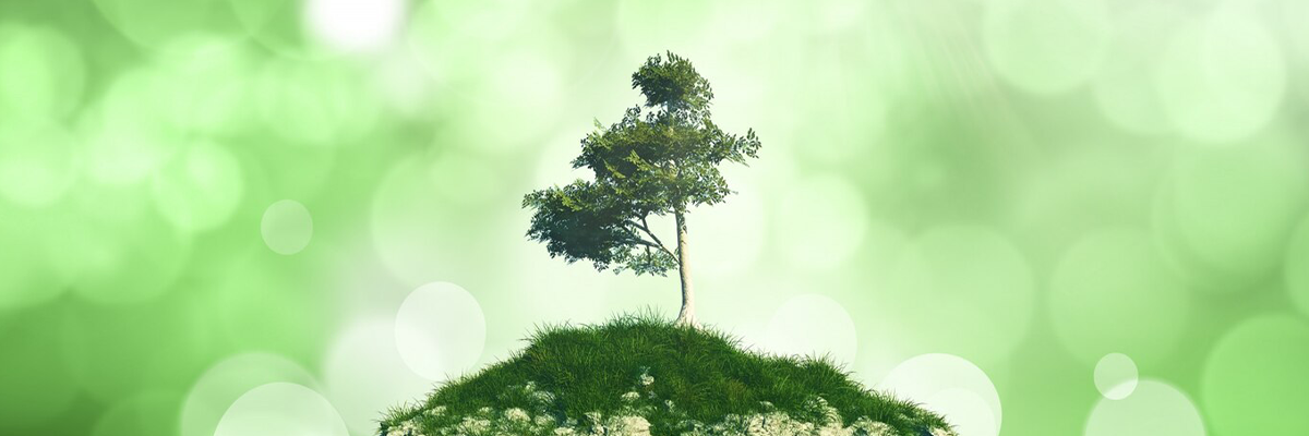 Sürdürülebilir Yaşam Tarzları: Çevre Dostu Alışkanlıklar Nasıl Edinilir?