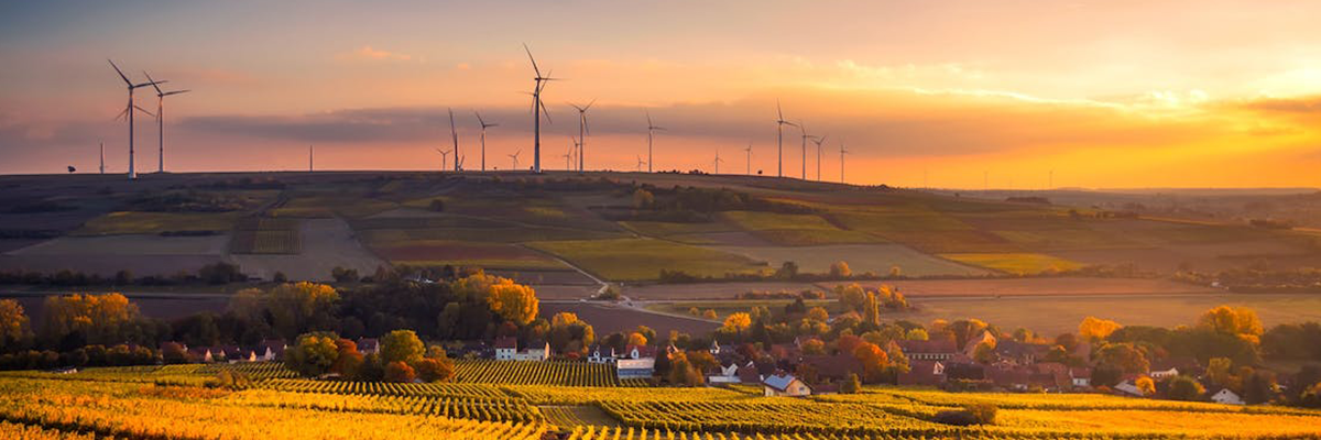 Sustainability-Focused Business Ventures