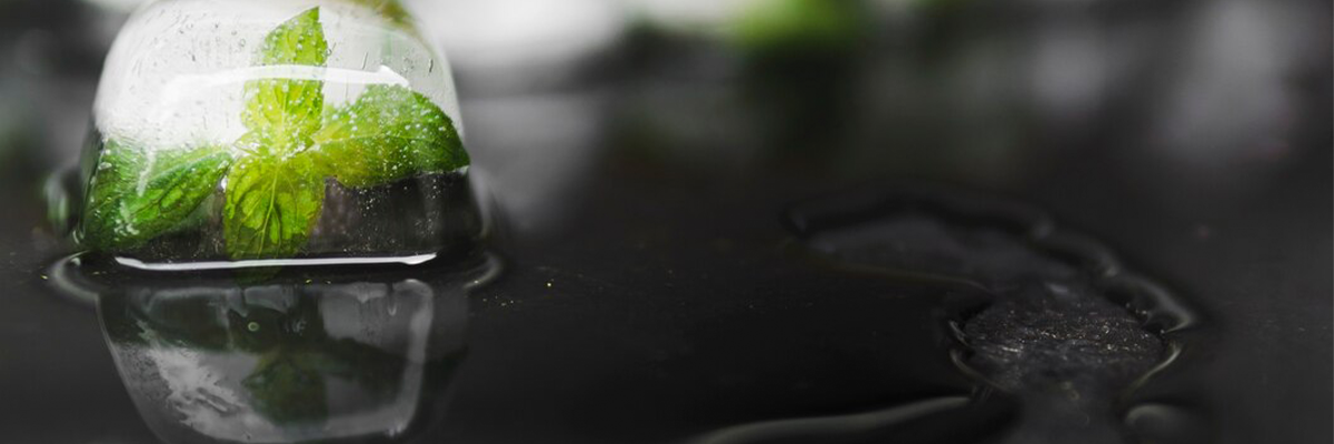 Sustainability Future