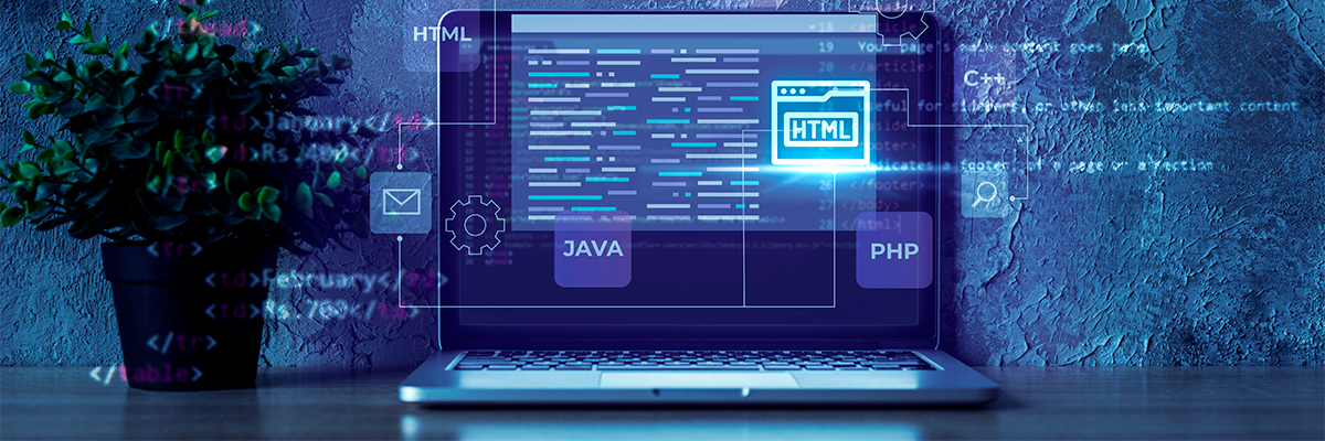 The Importance of Software E-commerce Infrastructure